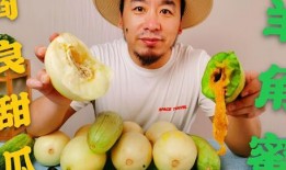 网红瓜去哪吃比较好,揭秘瓜界美食新宠